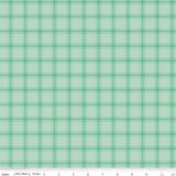 Southern Charm Gingham Mint C17444 Yardage