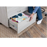 Koala - Quilter's Vision & Companion Chest Set